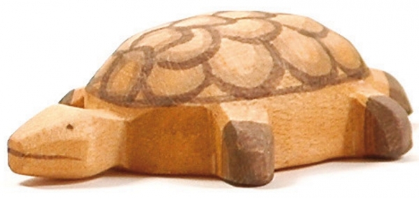 Ostheimer Schildkröte klein